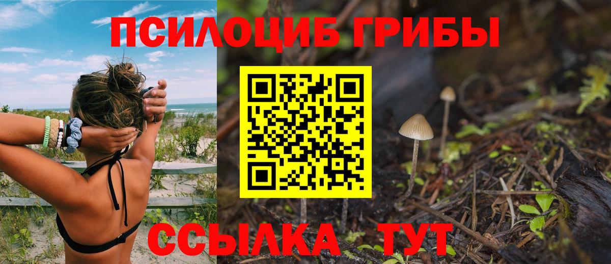  COCAIN Евпатория
